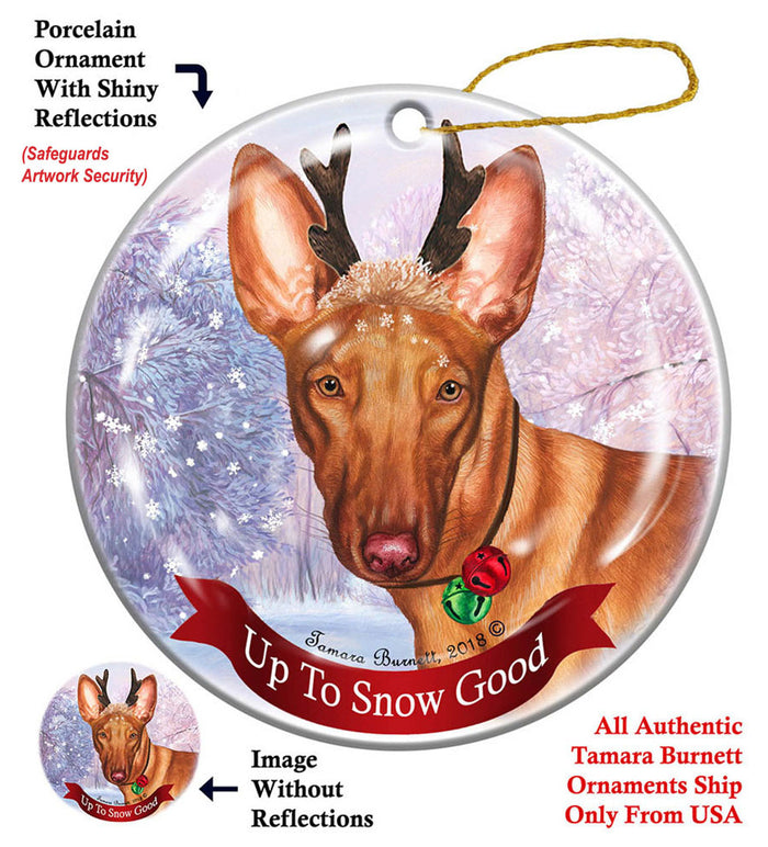 Pharaoh Hound - Up To Snow Good Ornament