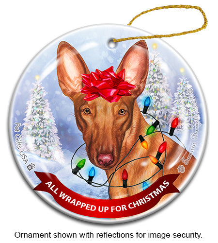 Pharaoh Hound All Wrapped Up Ornament