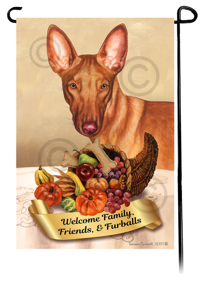 Pharaoh Hound Thanksgiving Garden Flags