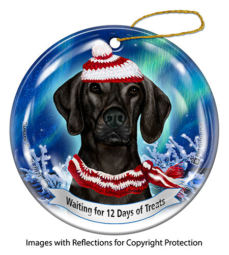 Plott Hound 12 Days of Treats Ornament