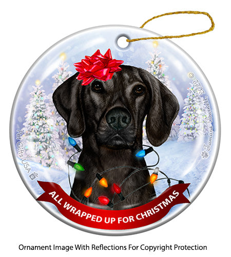 Plott Hound All Wrapped Up Ornament