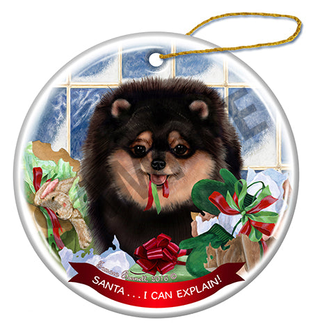Pomeranian - Santa I Can Explain Ornament