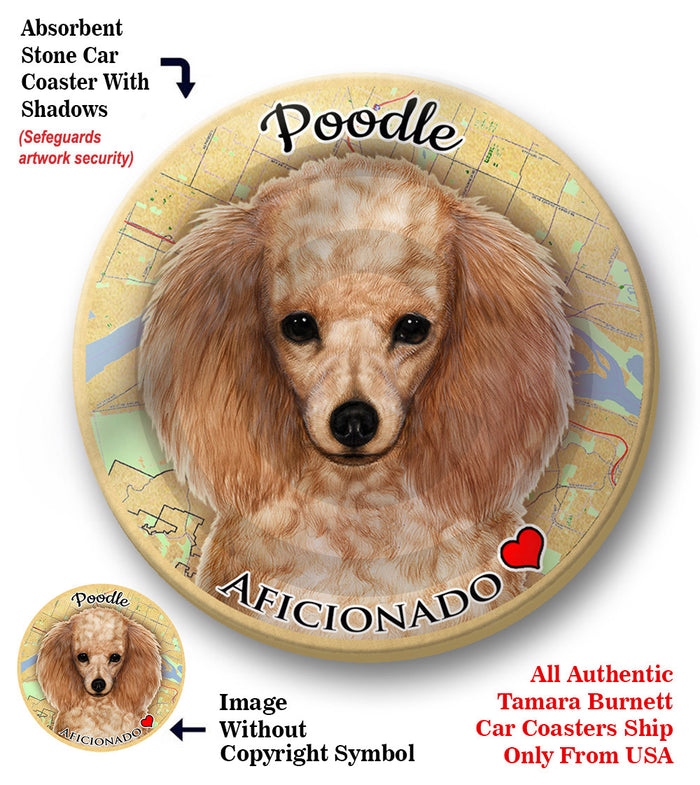 photo of Poodle