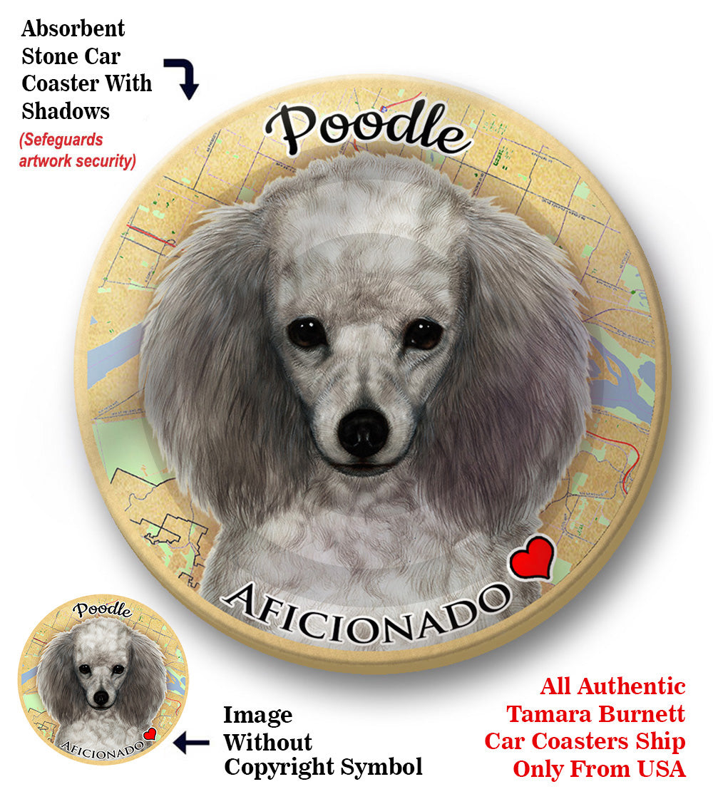 photo of Poodle