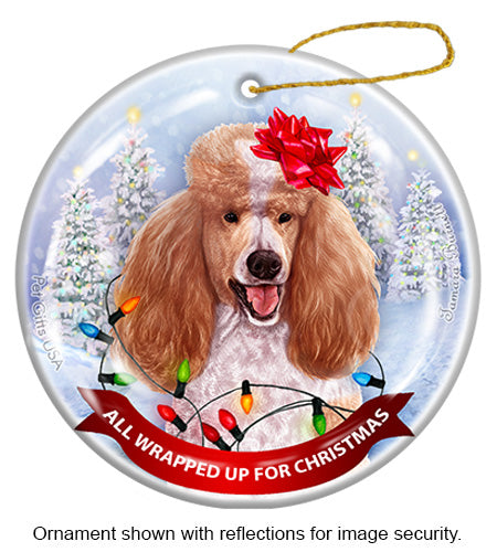 Poodle Standard Apricot and White Ornament