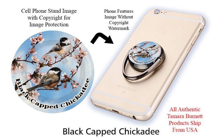 Black Capped Chickadee Phone Stand