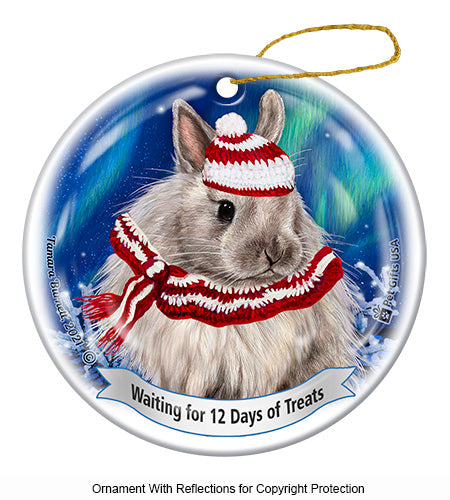 Rabbit Jersey Wooley 12 Days of Treats Ornament