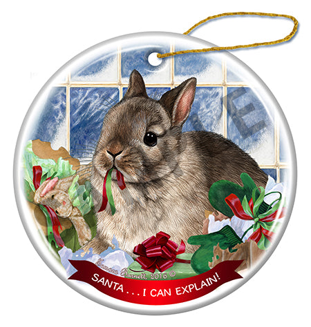 Netherland Dwarf Rabbit - Santa I Can Explain Ornament