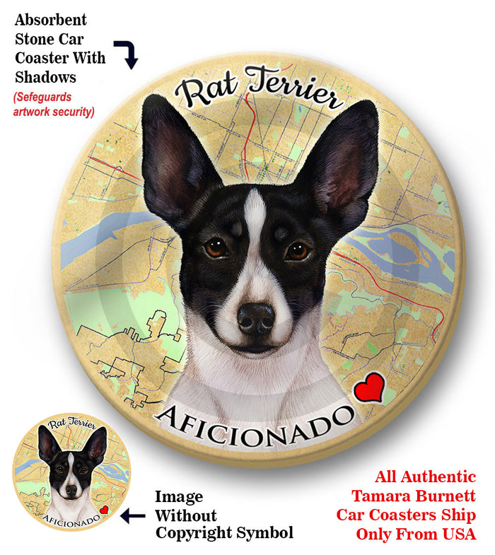 photo of Rat Terrier