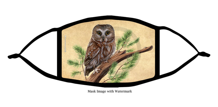 Saw Whet Owl Face Mask