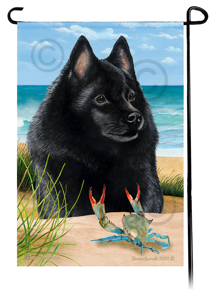 Schipperke Summer Flowers Garden Flag