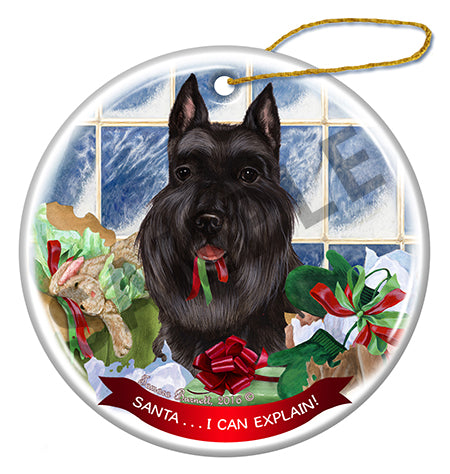 Schnauzer - Santa I Can Explain Ornament