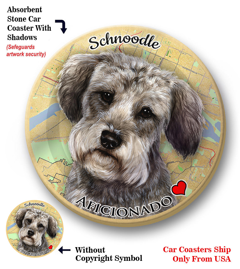 photo of Schnoodle