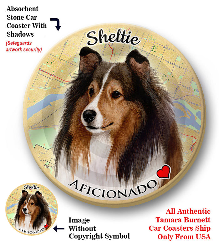 photo of Shetland Sheepdog