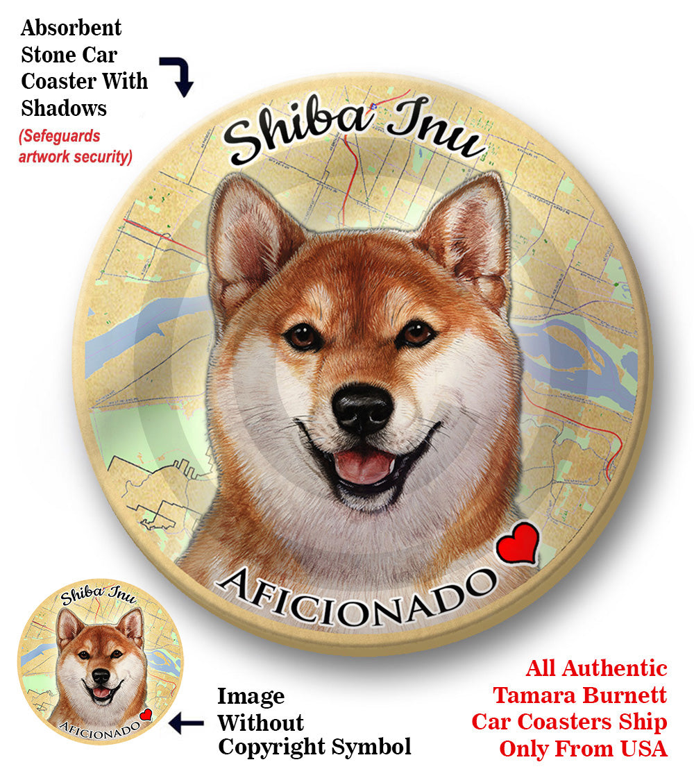 photo of Shiba Inu