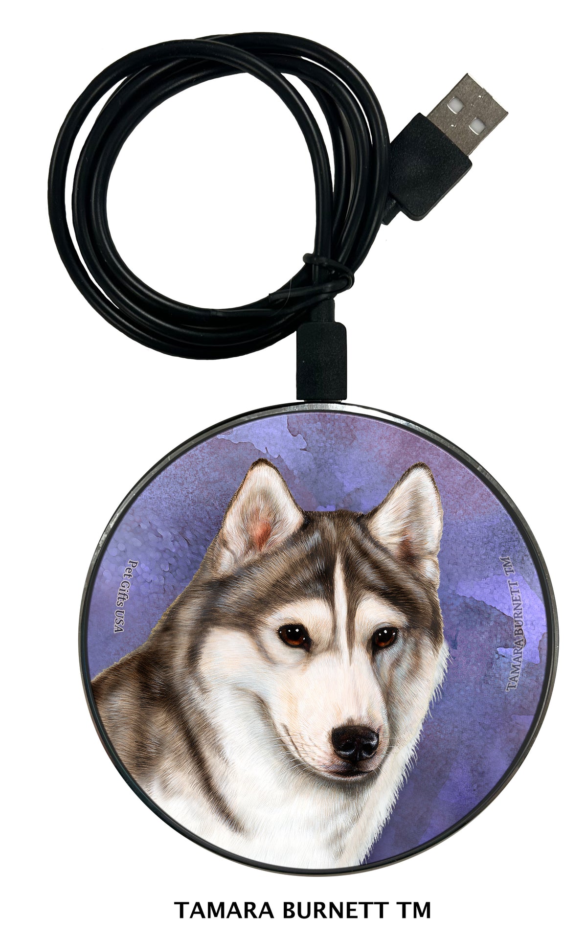 Siberian Husky Brown Eye Grey and White Zoomies Wireless Charger