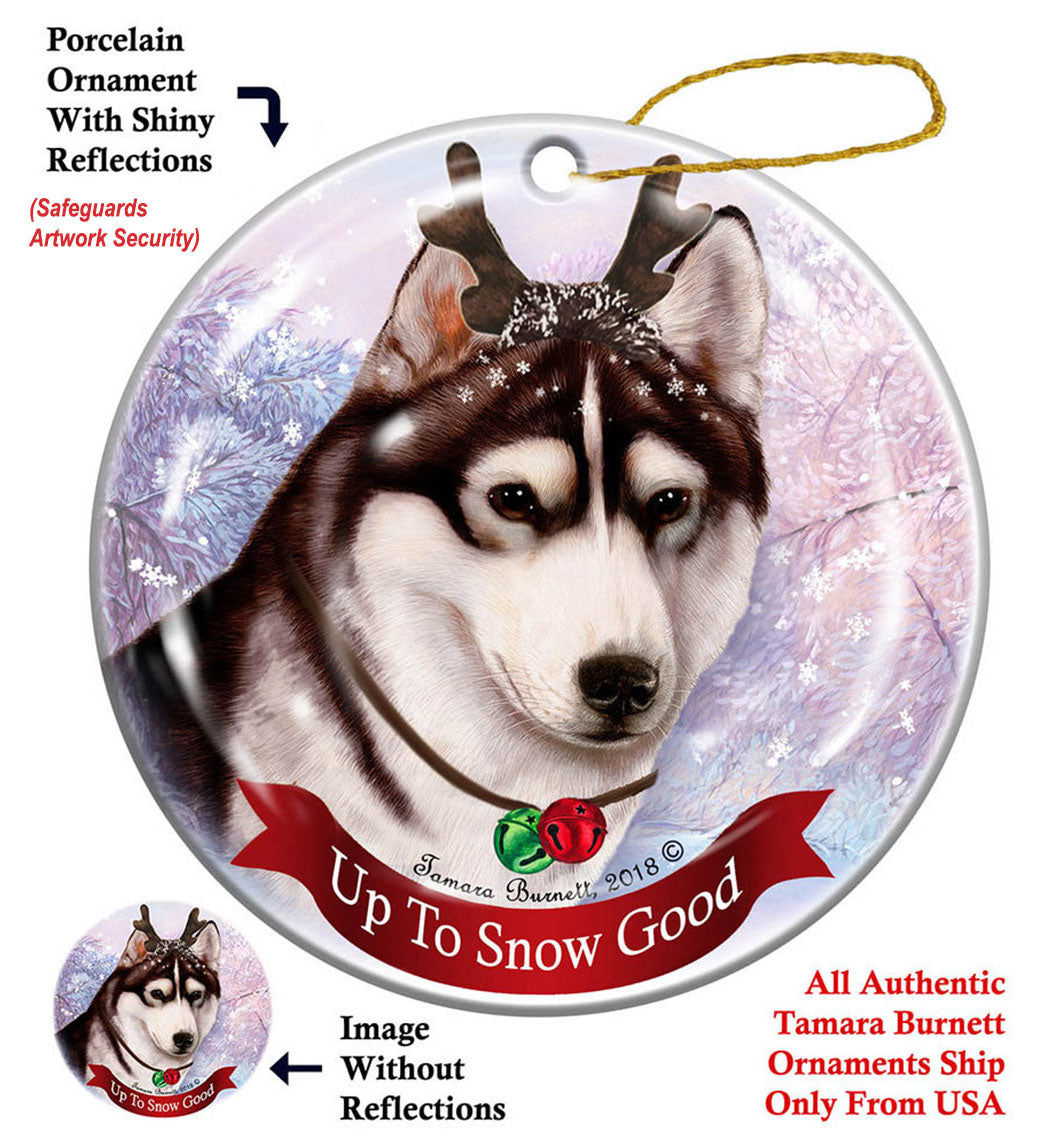 Siberian Husky Brown Eye Black and White Ornament
