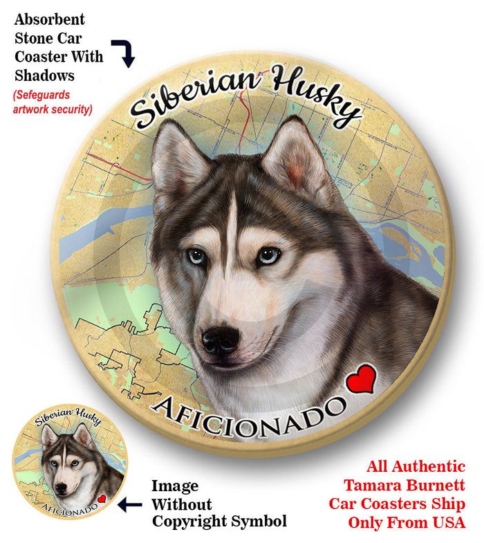 photo of Siberian Husky