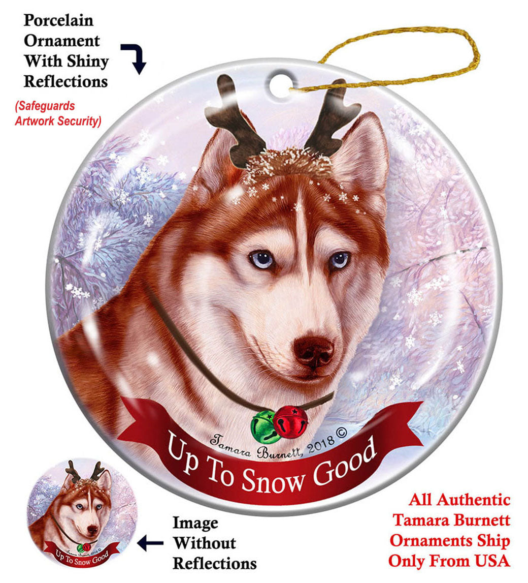Siberian Husky Blue Eye Red and White Ornament