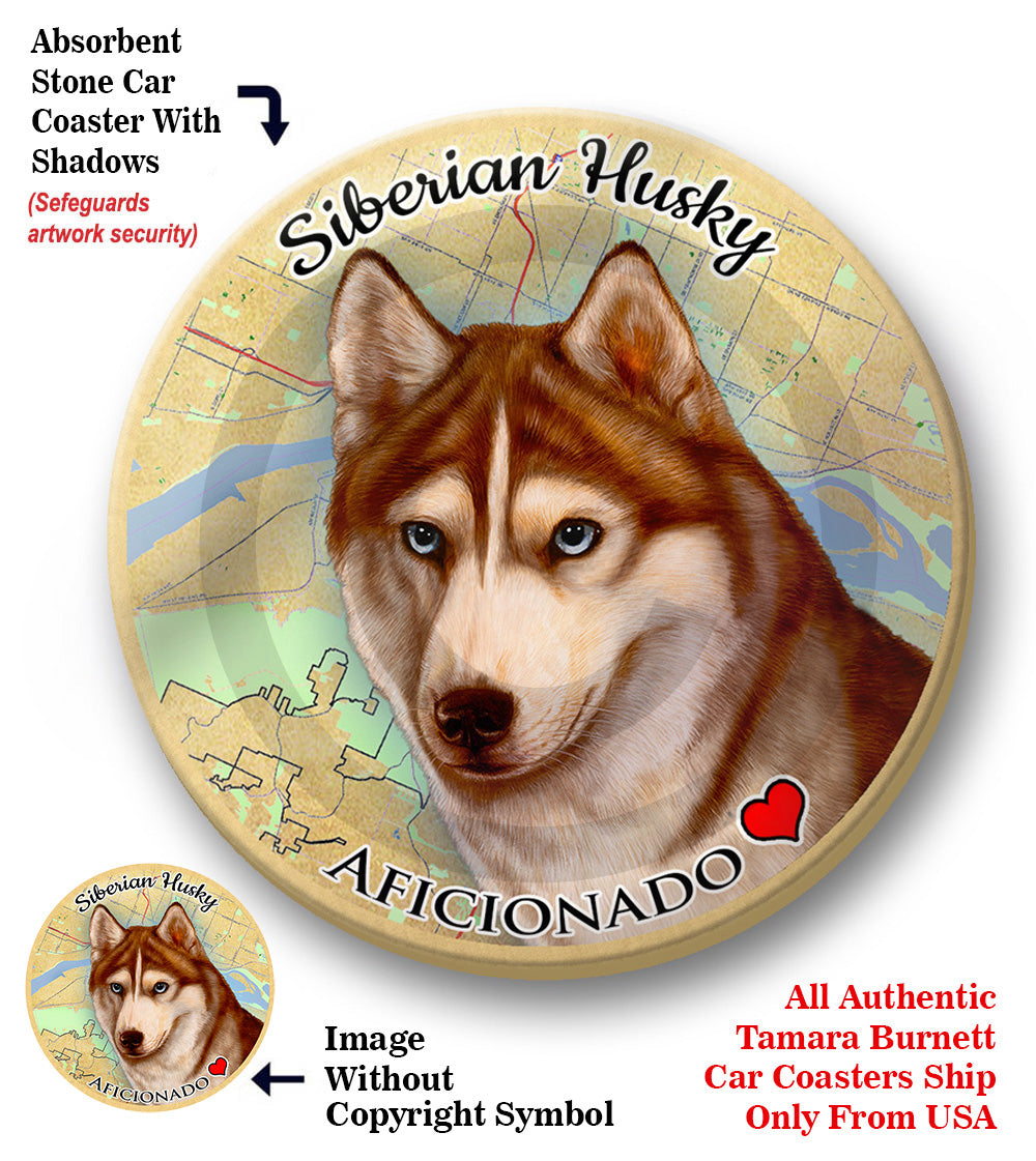 photo of Siberian Husky