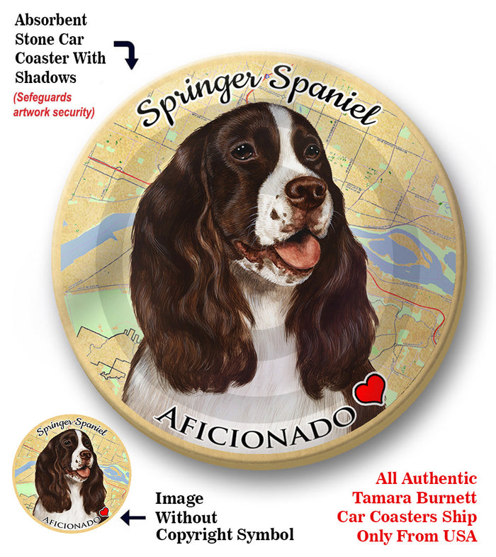 photo of Springer Spaniel