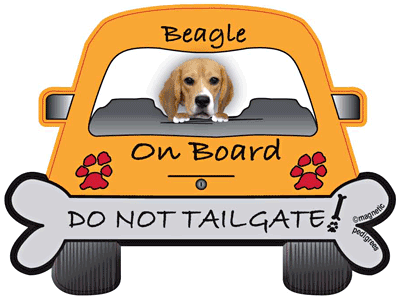 Beagle Do Not Tailgate Magnets