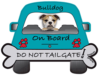American Bulldog Do Not Tailgate Magnets