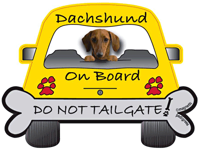 Dachshund Do Not Tailgate Magnets