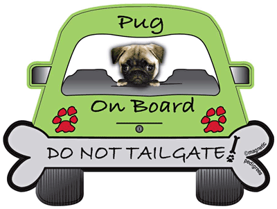 Pug Do Not Tailgate Magnets
