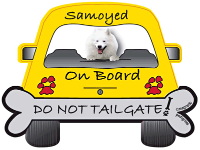 Samoyed Do Not Tailgate Magnets