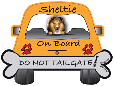 Shetland Sheepdog Do Not Tailgate Magnets