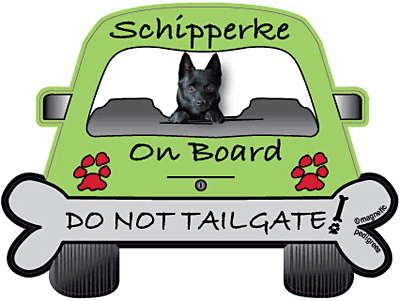 Schipperke Do Not Tailgate Magnets