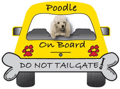 Poodle Do Not Tailgate Magnets