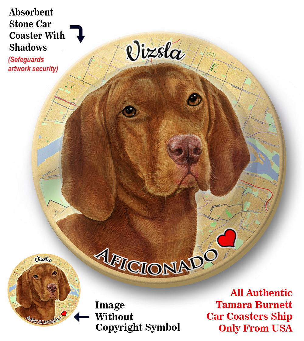 photo of Vizsla