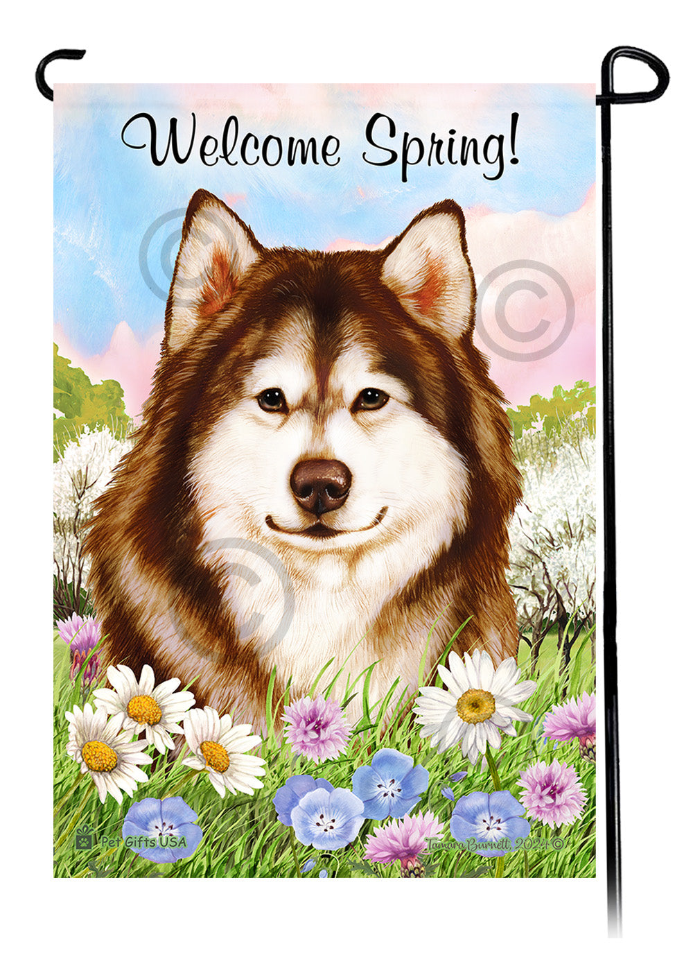 Alaskan Malamute Welcome Spring - Garden Flag
