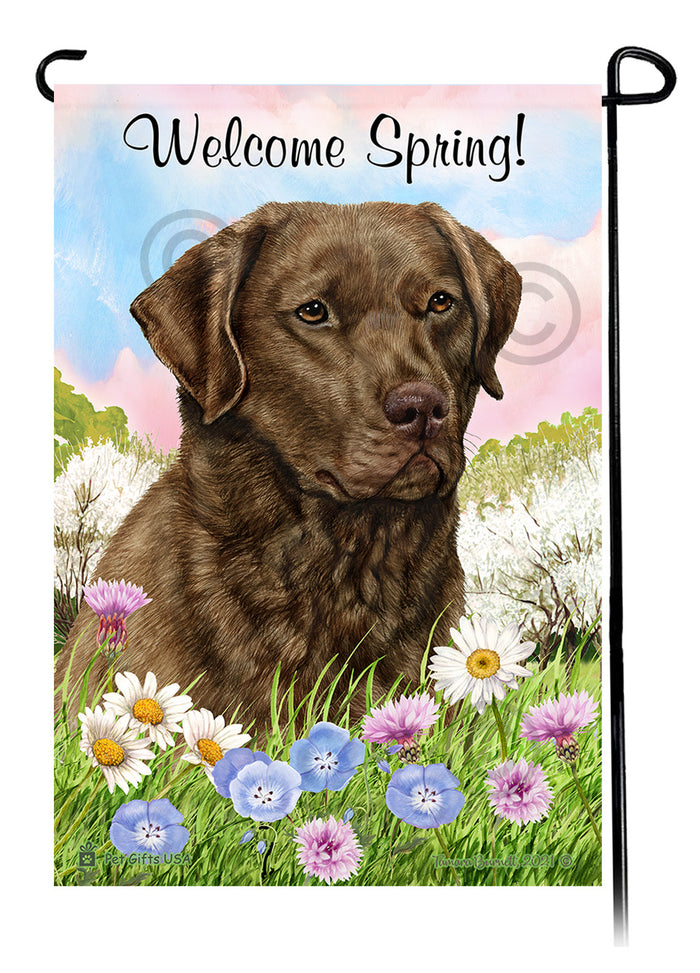 Chesapeake Bay Retriever Welcome Spring Garden Flags