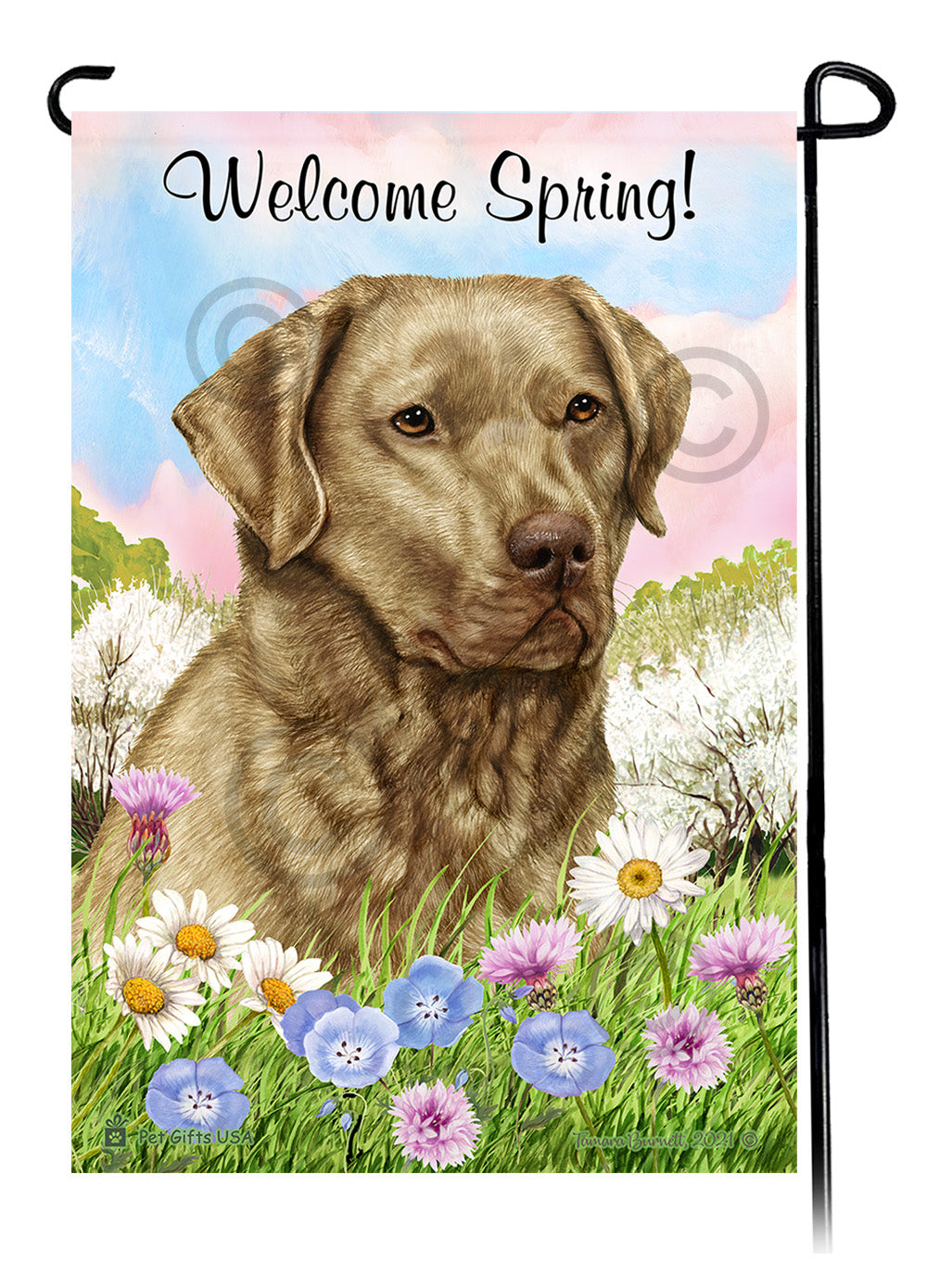 Chesapeake Bay Retriever Welcome Spring - Garden Flag