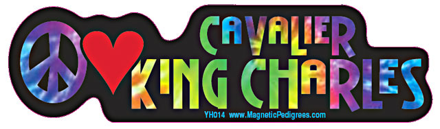 Cavalier King Charles Yippie Hippie Bumper Sticker