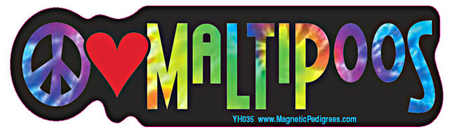 Maltipoo Yippie Hippie Bumper Sticker
