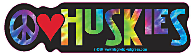 Siberian Husky Yippie Hippie Bumper Sticker