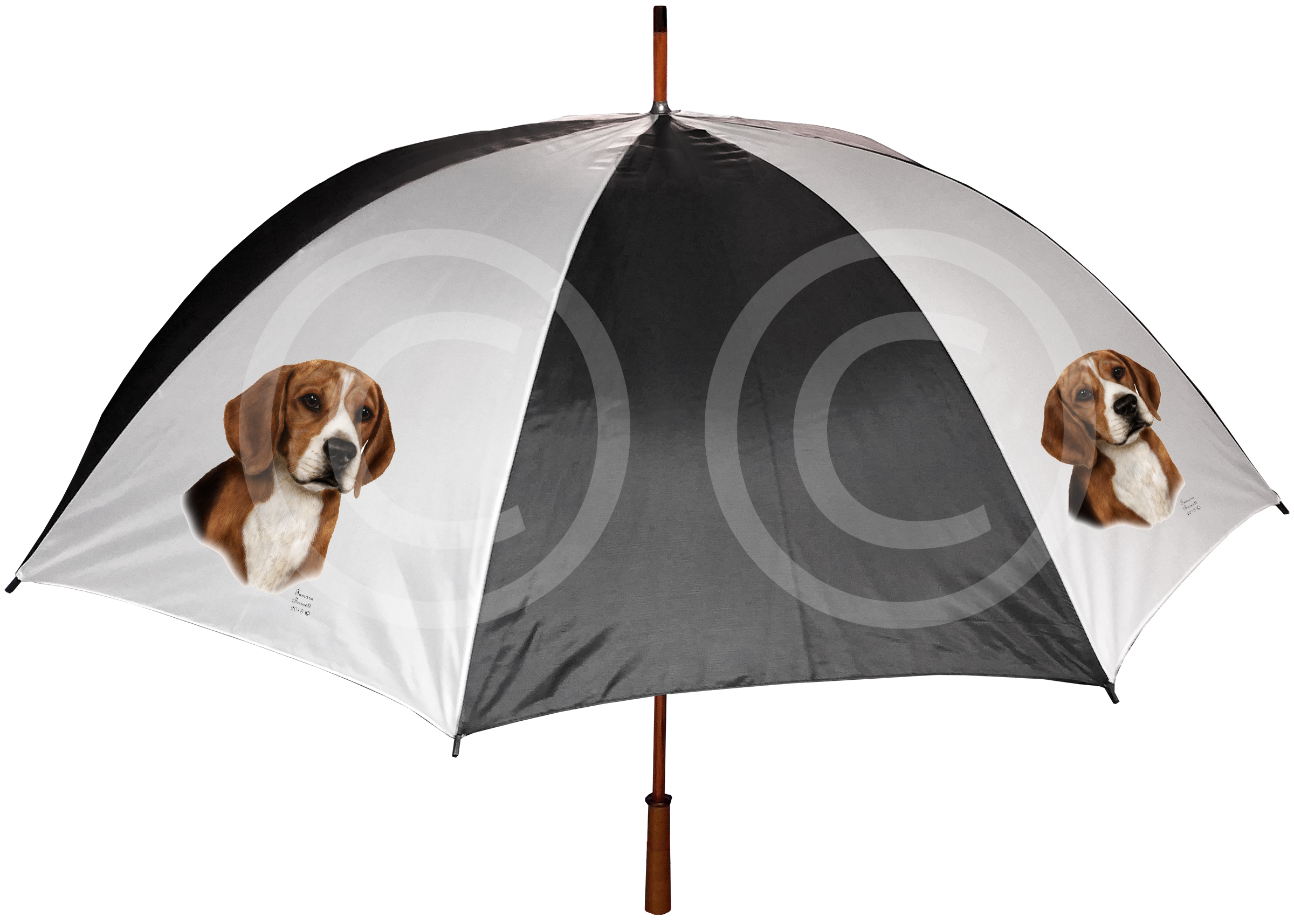 Beagle - Umbrella image