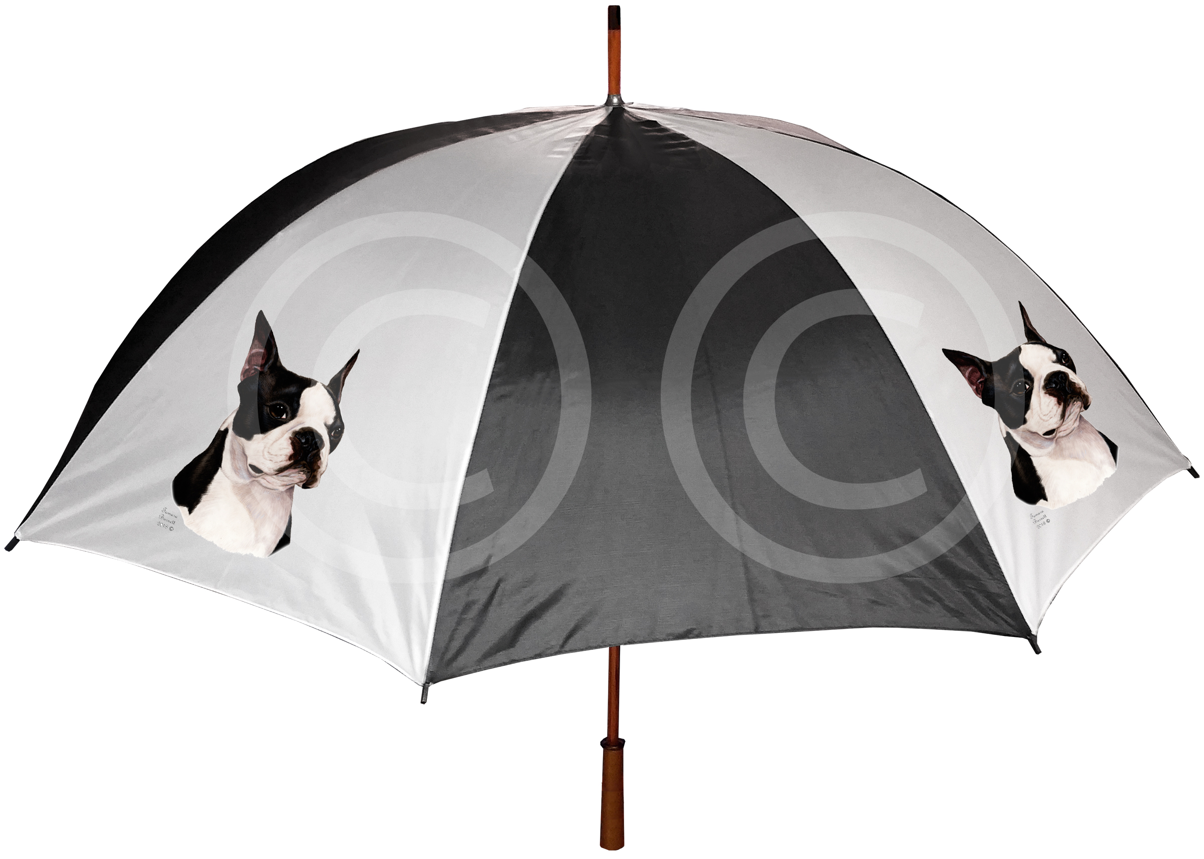 Boston Terrier - Umbrella image