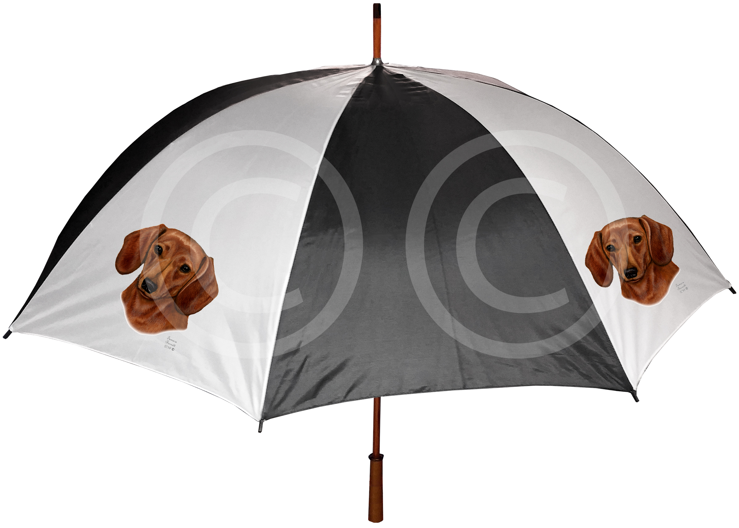 An image of the Dachshund, Long-Haired, Red - Umbrella