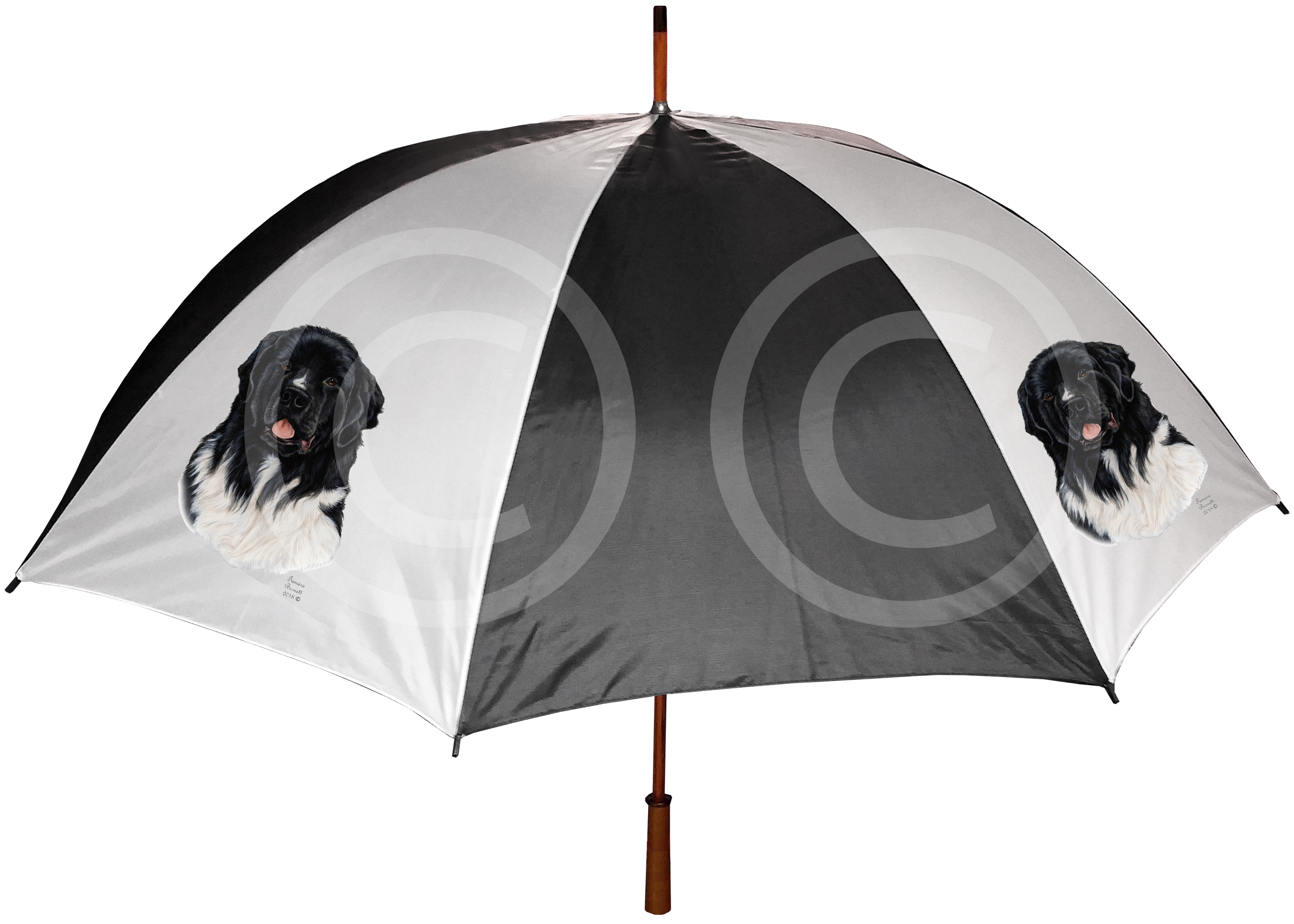 An image of the Newfoundland - Umbrella