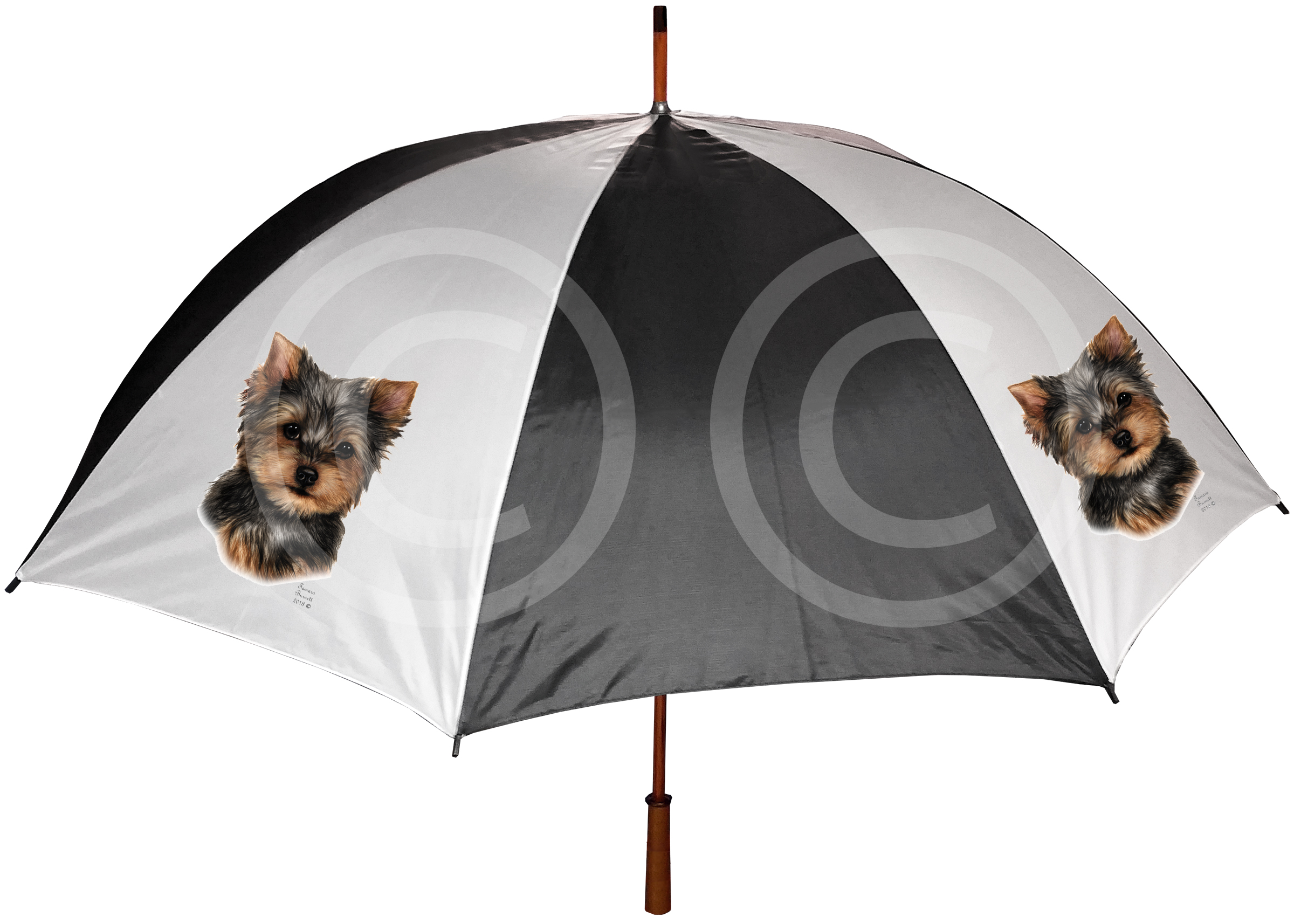 An image of the Yorkie - Umbrella