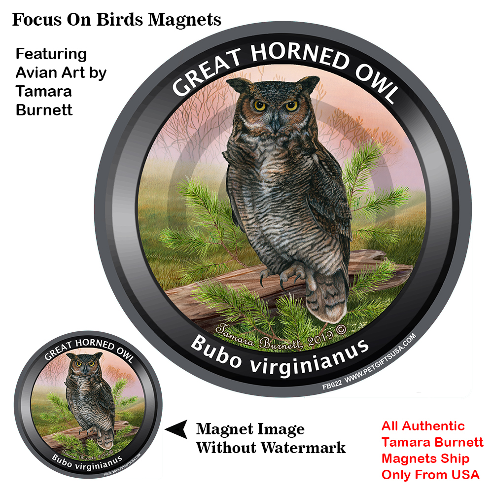 An image of product 12760 Great Horned Owl - Spring Scene Focus On Birds Magnet
