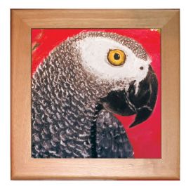 African Grey Parrot Cocina Cerámica Salvamanteles Enmarcada En Pino De 8" X 8" 