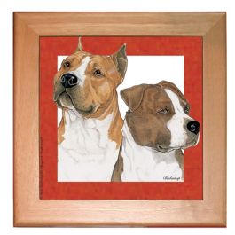 An image of product 12998 American Staffordshire Terrier Amstaff Dog Kitchen Ceramic Trivet Framed in Pine 8" x 8"