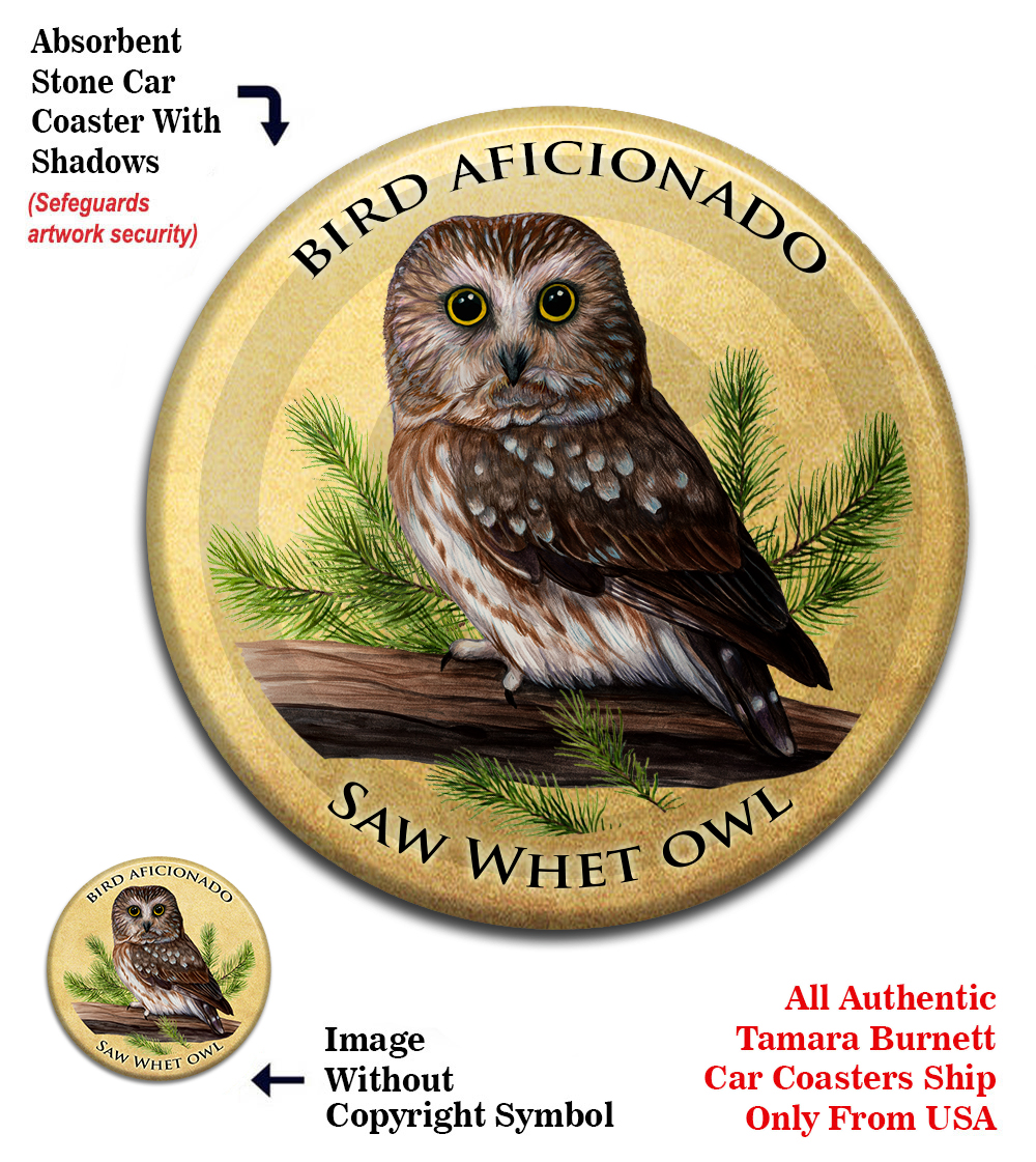An image of product 13720 Saw Whet Owl - Coaster Buddy