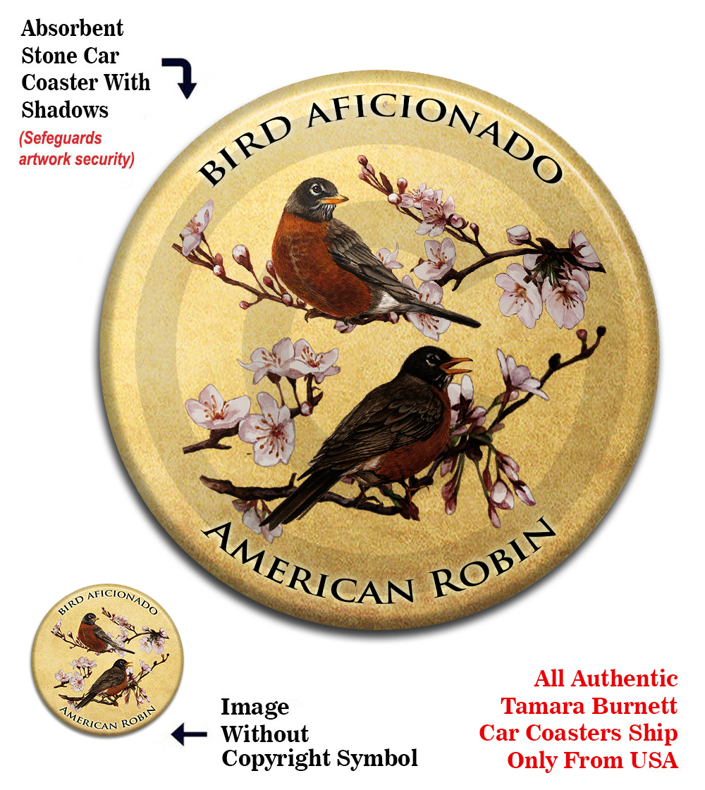 An image of product 13721 American Robin - Coaster Buddy